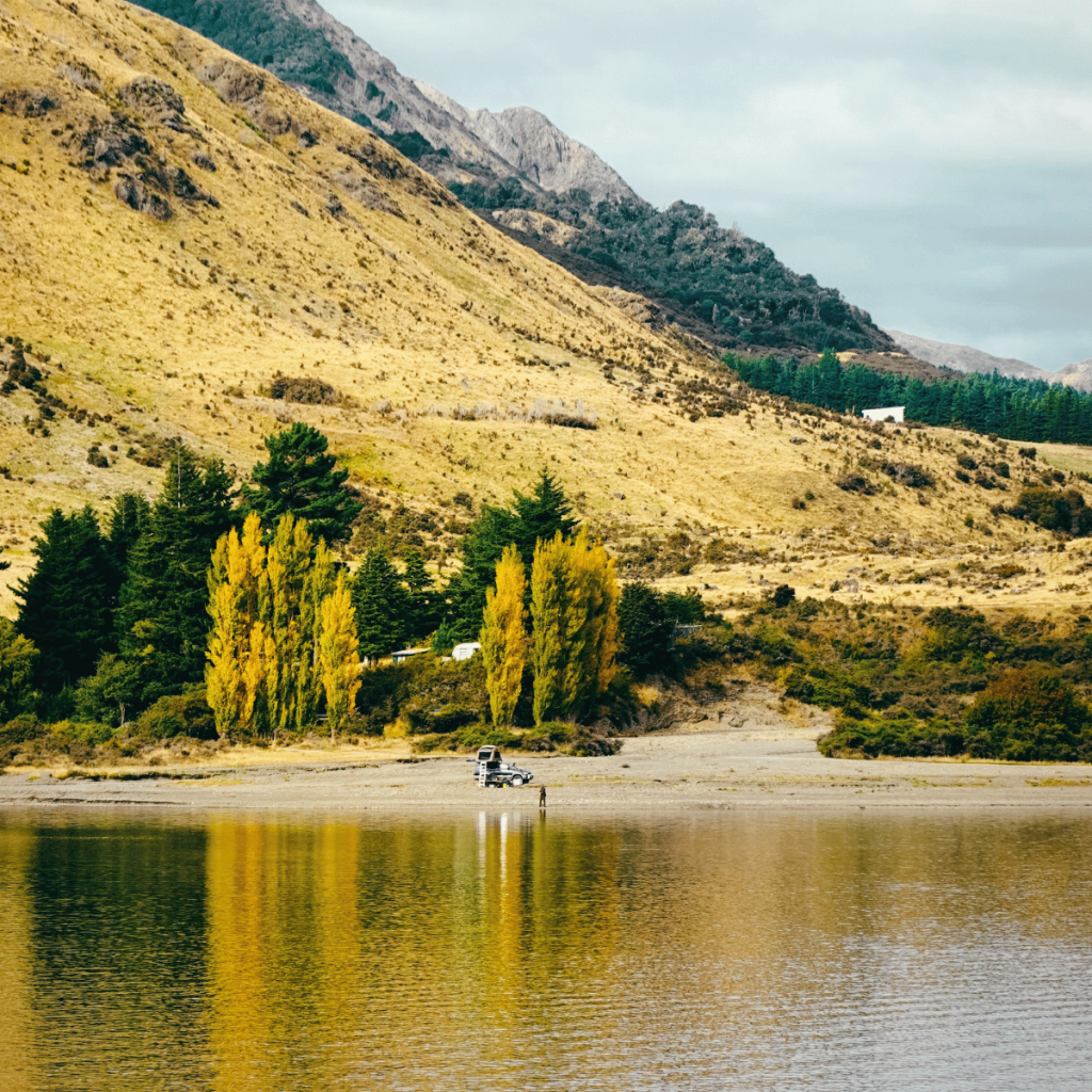 New Zealand vs Australia: Which Is Better for Families?